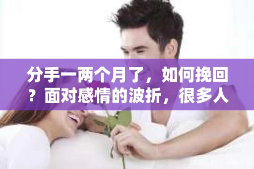 分手一两个月了，如何挽回？面对感情的波折，很多人都会感到迷茫和无助。在这篇文章中，我们将探讨分手后如何正确挽回爱情，重燃曾经的美好