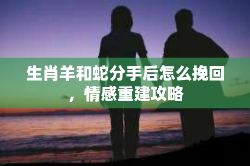生肖羊和蛇分手后怎么挽回，情感重建攻略