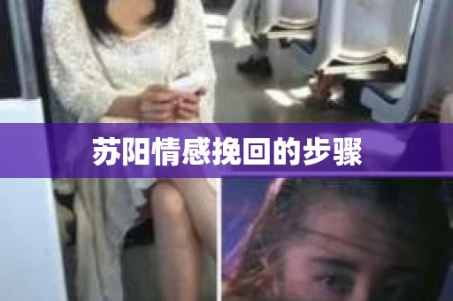 苏阳情感挽回的步骤