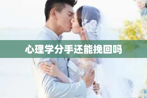心理学分手还能挽回吗