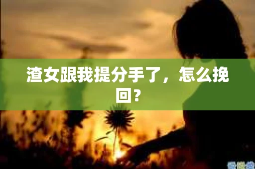 渣女跟我提分手了，怎么挽回？