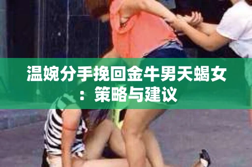 温婉分手挽回金牛男天蝎女：策略与建议