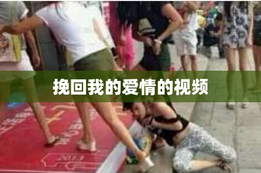 挽回我的爱情的视频