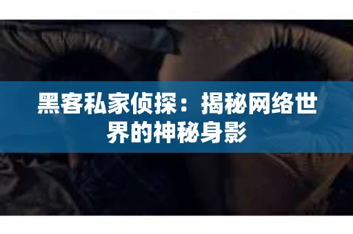 黑客私家侦探：揭秘网络世界的神秘身影