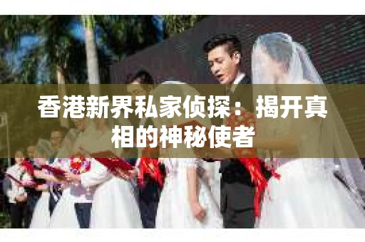 香港新界私家侦探：揭开真相的神秘使者