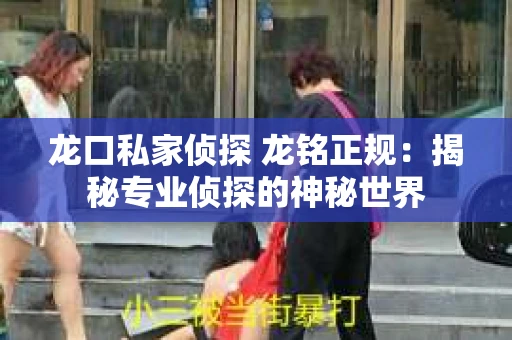 龙口私家侦探 龙铭正规：揭秘专业侦探的神秘世界