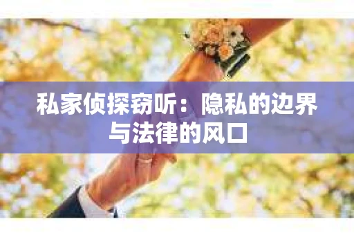 私家侦探窃听：隐私的边界与法律的风口
