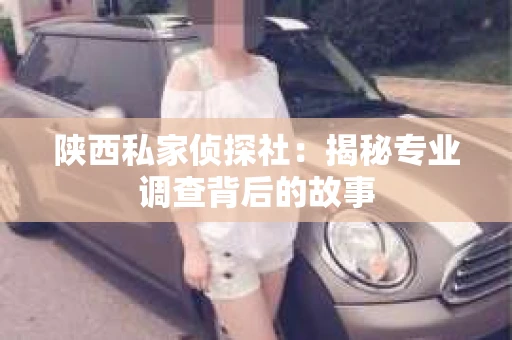 陕西私家侦探社：揭秘专业调查背后的故事