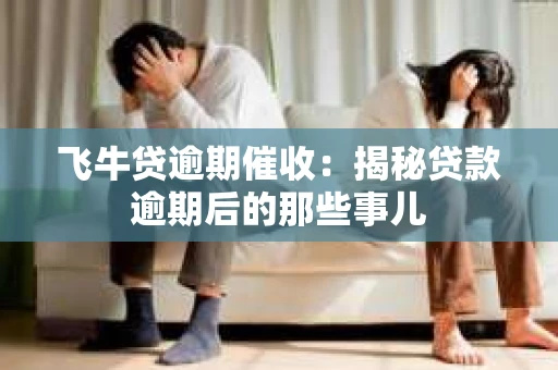 飞牛贷逾期催收：揭秘贷款逾期后的那些事儿