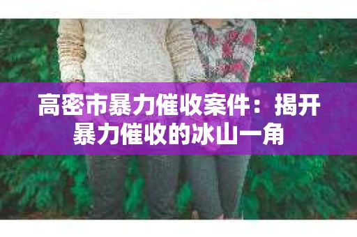 高密市暴力催收案件：揭开暴力催收的冰山一角