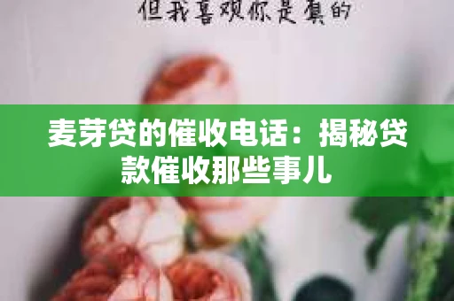 麦芽贷的催收电话：揭秘贷款催收那些事儿