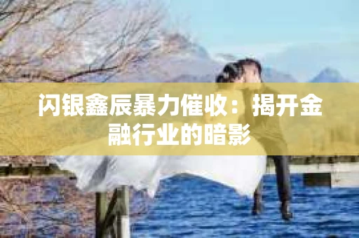 闪银鑫辰暴力催收：揭开金融行业的暗影