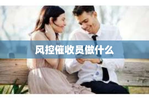 风控催收员做什么