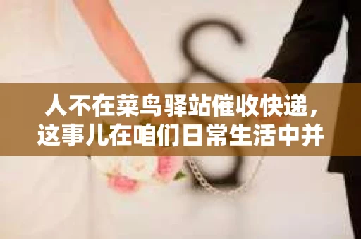 人不在菜鸟驿站催收快递，这事儿在咱们日常生活中并不少见。有时候，快递员送货上门，却发现家里没人，于是就把快递放在了菜鸟驿站。但有时候，我们可能因为各种原因，错过了取快递的时间，这时候，催收快递就成了一件让人头疼的事情。今天，咱们就来聊聊这个话题。