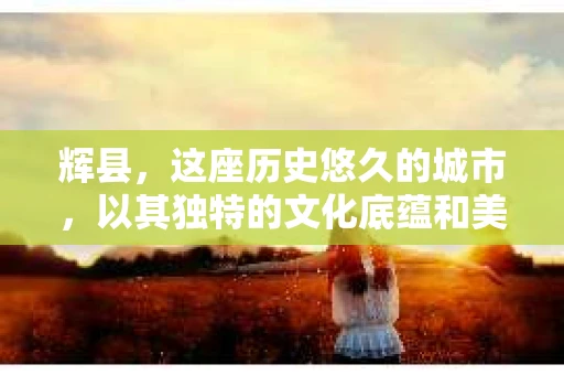 辉县，这座历史悠久的城市，以其独特的文化底蕴和美丽的自然风光吸引着众多游客。然而，在现代社会，人们的生活节奏加快，各种问题也随之而来。有时候，我们可能会遇到一些棘手的问题，需要专业人士的帮助。那么，辉县有没有私家侦探呢？今天，我就来和大家聊聊这个话题。