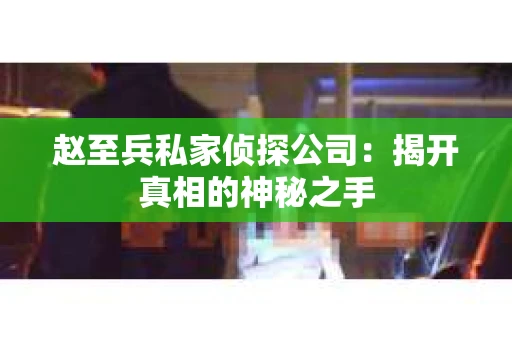 赵至兵私家侦探公司：揭开真相的神秘之手