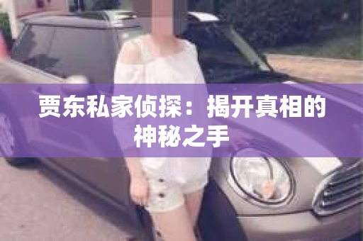 贾东私家侦探：揭开真相的神秘之手