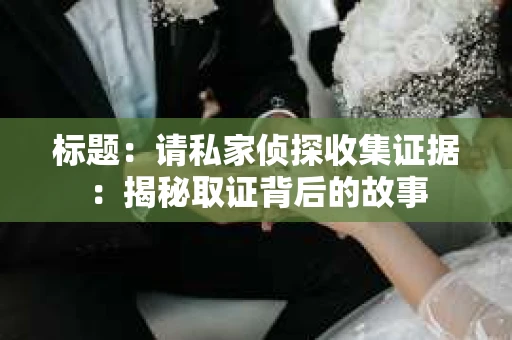 标题：请私家侦探收集证据：揭秘取证背后的故事