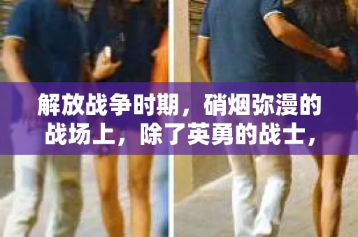 解放战争时期，硝烟弥漫的战场上，除了英勇的战士，还有一群特殊的人物，他们穿梭在战火纷飞的城市，以独特的视角见证着历史的变迁。这群人，就是解放战争时期的私家侦探。