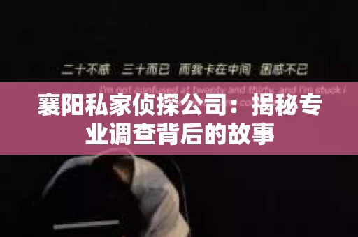 襄阳私家侦探公司：揭秘专业调查背后的故事