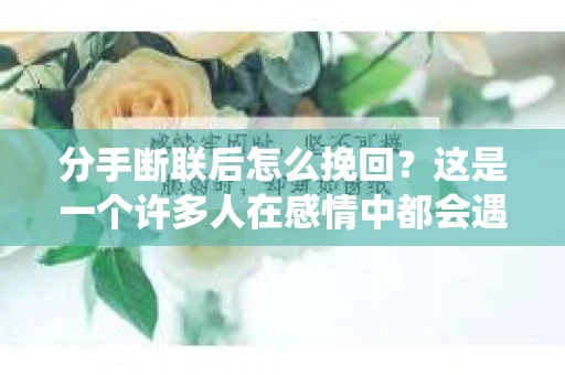 分手断联后怎么挽回？这是一个许多人在感情中都会遇到的问题。面对分手后的断联，如何有效地挽回爱情，是许多人迫切想要了解的。本文将围绕这一主题，从心理准备、沟通策略和实际行动三个方面，为大家提供一些建议
