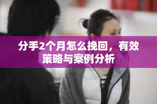 分手2个月怎么挽回，有效策略与案例分析