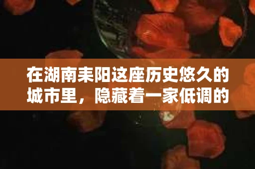 在湖南耒阳这座历史悠久的城市里，隐藏着一家低调的私家侦探事务所。这家事务所虽然不大，但在当地却有着不俗的口碑。今天，就让我带你走进这家神秘的地方，一探究竟。