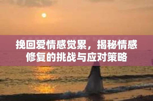 挽回爱情感觉累，揭秘情感修复的挑战与应对策略